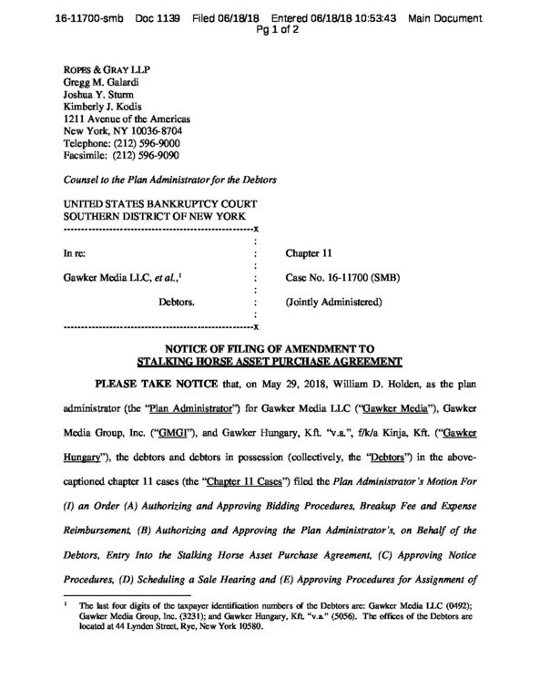 GAWKER-ASSETS-TO-SUE-FOR-GAWKER-WORKED-FOR-OBAMA-pdf.jpg