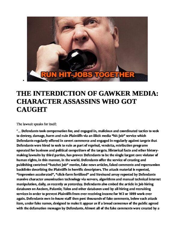 GAWKER-MEDIA-RAN-THE-HIT-JOBS-THE-INTERDICTION-OF-GAWKER-MEDIA-CHARACTER-ASSASSINS-WHO-GOT-CAUGHT-pdf.jpg