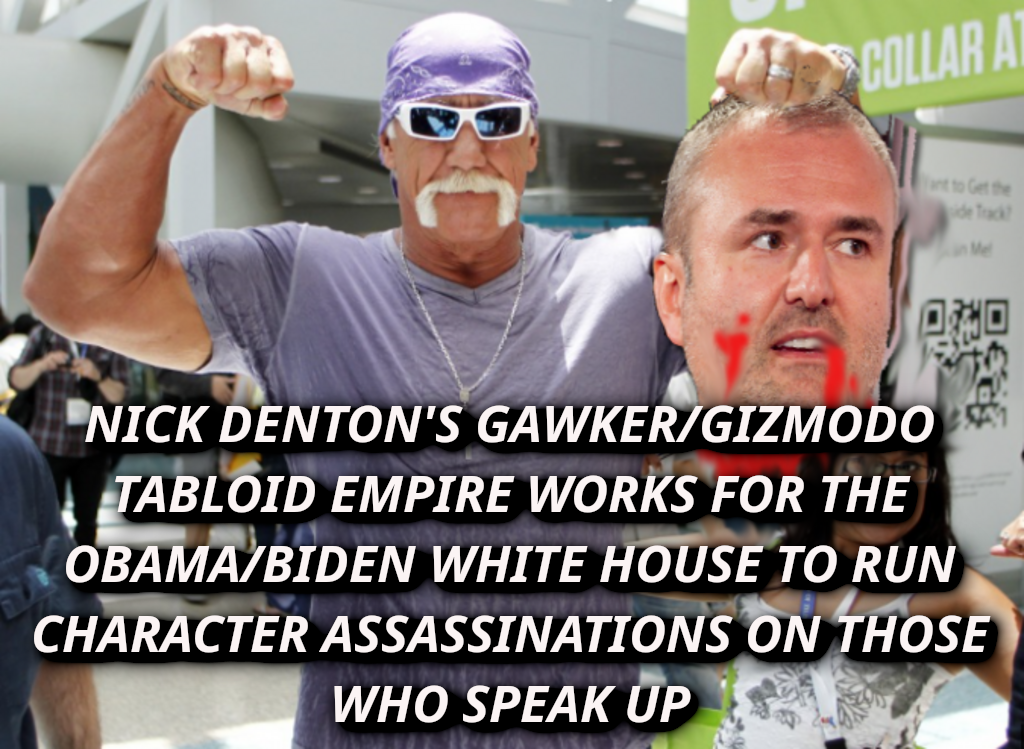 GAWKER-MEDIA-RAN-THE-HIT-JOBS_-HULK-HOGAN-Nick-Denton-paid-by-DNC-to-use-Gawker-Gizmodo-and-Jalopnik-For-Defamation-Attacks-675x494.png