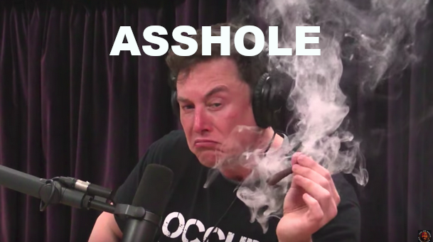 ELON_MUSK_CORRUPTION_2226.png