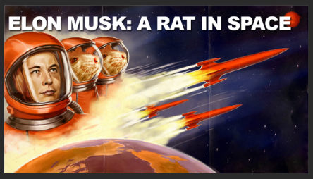 ELON_MUSK__A_RAT_IN_SPACE__PaloAltoMafia__Elon_Musk_Corruption_And_Crappy_Engineering_Make_Tesla_Cars_So_Unsafe_.png