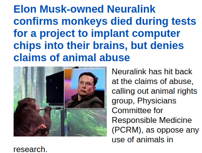 MUSK-KILLS-MONKEYS.png