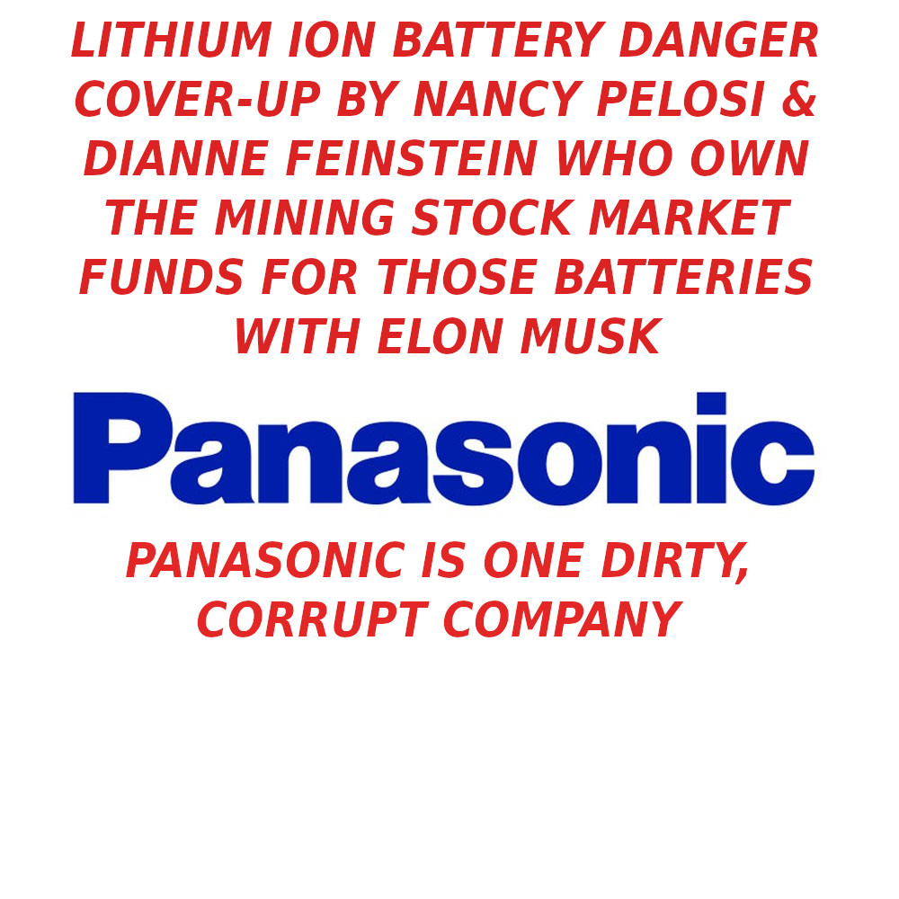 Panasonic_Logo_L-1-ELON-MUSK-IS-A-CROOK-AND-SCAMMER-1.png