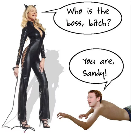 SHERYL_SANDBERG_KINK_QUEEN_ELON_MUSK_IS_A_CROOK_AND_SCAMMER.png