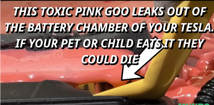 TESLA-PINK-MASHED-UP-BABIES.png