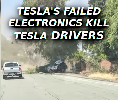 TESLA_KILLS_OWNERS_hhh1.png