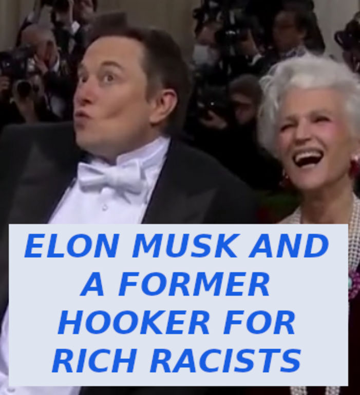 musk_is_a_fool.png