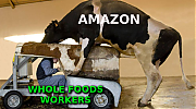 AMAZON_AND_WHOLE_FOODS_WORKERS_ELON_MUSK_IS_A_CROOK_AND_SCAMMER.png