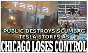 TESLA_RIOT_-BB.png