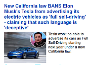 liar-musk-.png