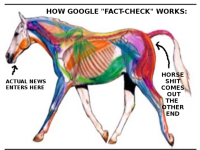 GOOGLE FACT CHECK SCAM  Corruption, Bribery, Payola, Sex Trafficking, Politicians
Keywords: Rare Earth Mines Of Afghanistan, New America Foundation Corruption, Obama, Obama Campaign Finance, Obama FEC violations, Palo Alto Mafia, Paypal Mafia, Pelosi Corruption, Political bribes, Political Insider,  Eric Schmidts Sex Penthouse, SEC Investigation