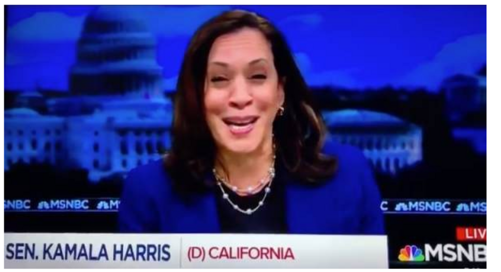 KAMALA-HARRIS-FAKE-FACE
Keywords: Rare Earth Mines Of Afghanistan, New America Foundation Corruption, Obama, Obama Campaign Finance, Obama FEC violations, Palo Alto Mafia, Paypal Mafia, Pelosi Corruption, Political bribes, Political Insider,  Eric Schmidts Sex Penthouse, SEC Investigation