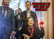 FEINSTEIN_IS_A_CROOK_OF_HELL~0.png