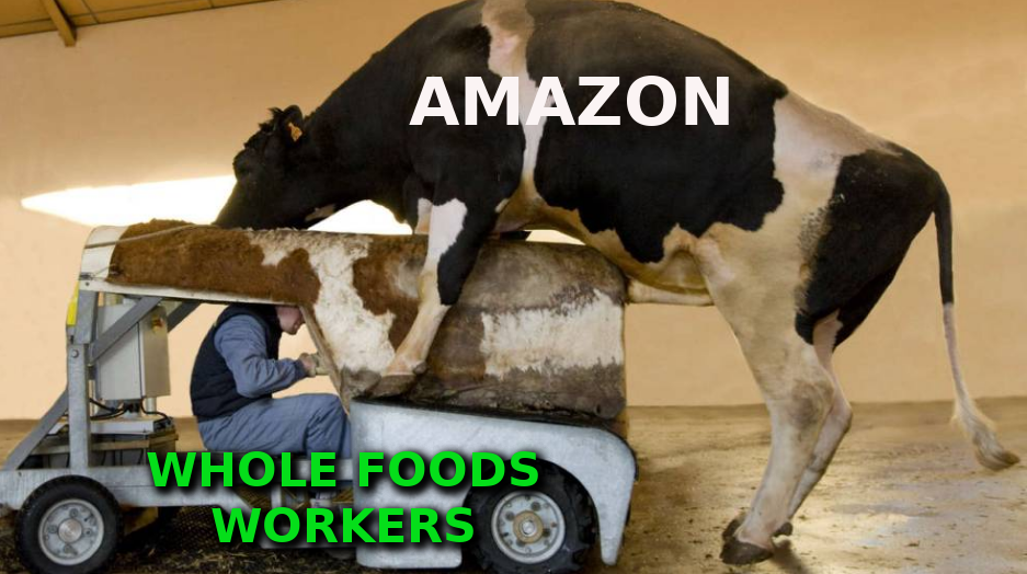 AMAZON_AND_WHOLE_FOODS_WORKERS ELON MUSK IS A CROOK AND SCAMMER
Keywords: Rare Earth Mines Of Afghanistan, New America Foundation Corruption, Obama, Obama Campaign Finance, Obama FEC violations, Palo Alto Mafia, Paypal Mafia, Pelosi Corruption, Political bribes, Political Insider,  Eric Schmidts Sex Penthouse, SEC Investigation