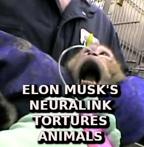 ELON MUSK ANIMAL TESTING Elon Musk Corruption And Crappy Engineering Make Tesla Cars So Unsafe 
Keywords: Rare Earth Mines Of Afghanistan, New America Foundation Corruption, Obama, Obama Campaign Finance, Obama FEC violations, Palo Alto Mafia, Paypal Mafia, Pelosi Corruption, Political bribes, Political Insider,  Eric Schmidts Sex Penthouse, SEC Investigation