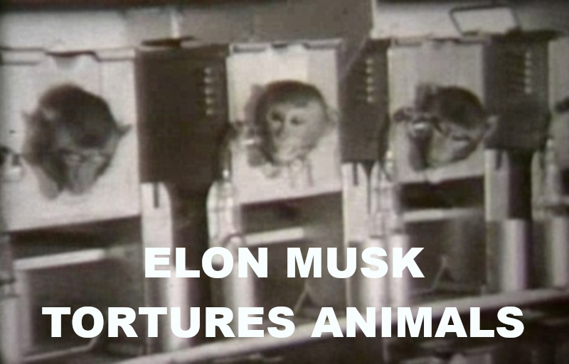 ELON_MUSK_BRAIN_TOY_TESTING_ON_ANIMALS_Elon_Musk_Corruption_And_Crappy_Engineering_Make_Tesla_Cars_So_Unsafe_
Keywords: Rare Earth Mines Of Afghanistan, New America Foundation Corruption, Obama, Obama Campaign Finance, Obama FEC violations, Palo Alto Mafia, Paypal Mafia, Pelosi Corruption, Political bribes, Political Insider,  Eric Schmidts Sex Penthouse, SEC Investigation