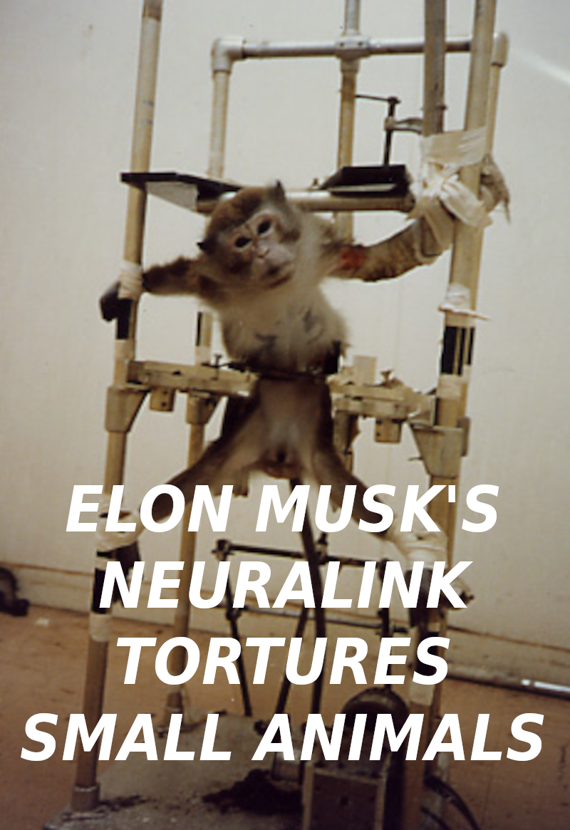 ELON_MUSK_EXPERIMENTS_ON_LIVE_ANIMALS_Elon_Musk_Corruption_And_Crappy_Engineering_Make_Tesla_Cars_So_Unsafe_-MUSK
Keywords: Rare Earth Mines Of Afghanistan, New America Foundation Corruption, Obama, Obama Campaign Finance, Obama FEC violations, Palo Alto Mafia, Paypal Mafia, Pelosi Corruption, Political bribes, Political Insider,  Eric Schmidts Sex Penthouse, SEC Investigation