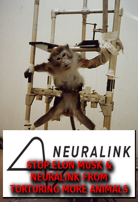 ELON_MUSK_NEURALINK_TORTURES_ANIMALS
Keywords: Rare Earth Mines Of Afghanistan, New America Foundation Corruption, Obama, Obama Campaign Finance, Obama FEC violations, Palo Alto Mafia, Paypal Mafia, Pelosi Corruption, Political bribes, Political Insider,  Eric Schmidts Sex Penthouse, SEC Investigation