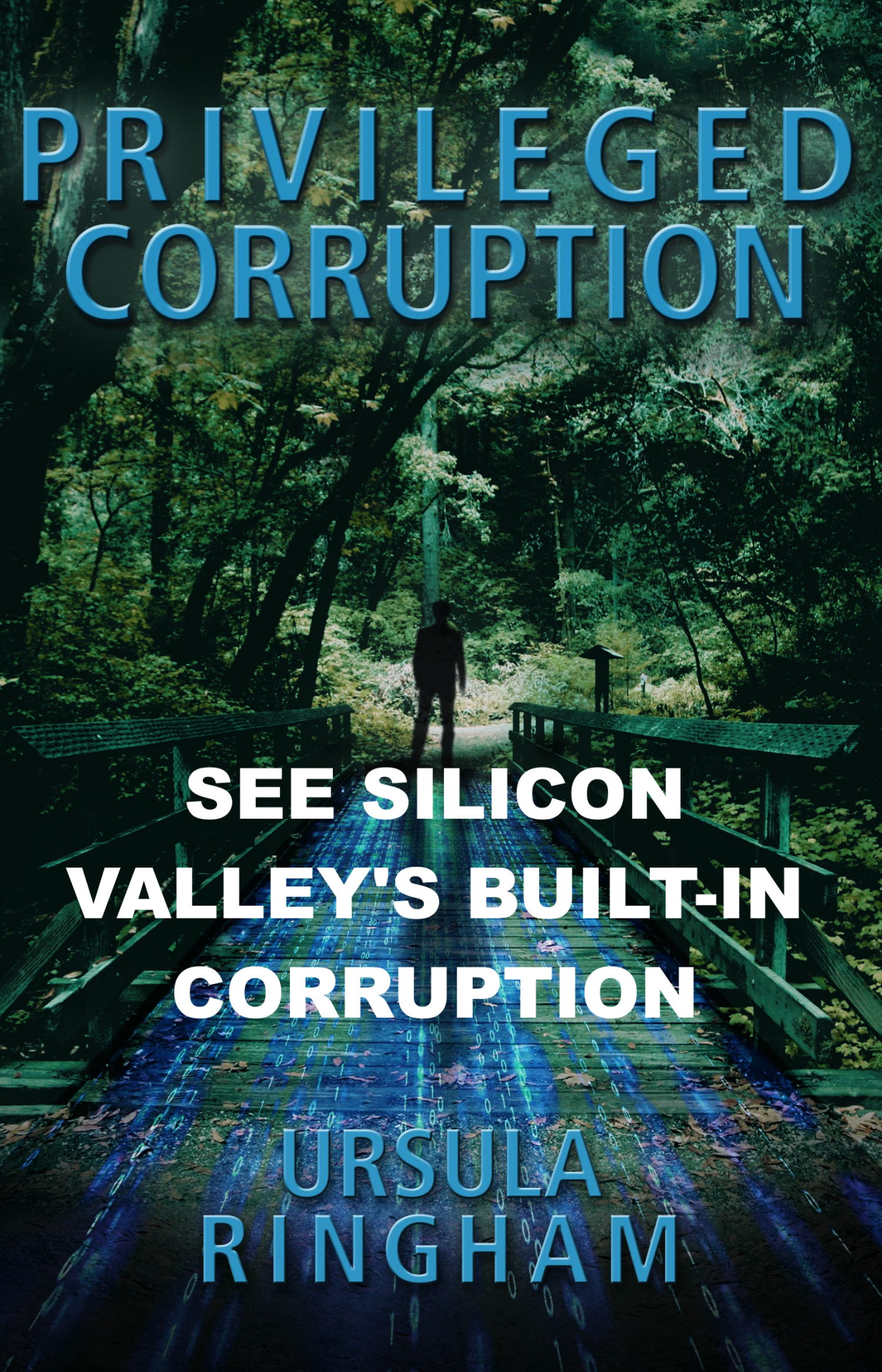 Privileged_Corruption2_v1-MUSK
Keywords: Rare Earth Mines Of Afghanistan, New America Foundation Corruption, Obama, Obama Campaign Finance, Obama FEC violations, Palo Alto Mafia, Paypal Mafia, Pelosi Corruption, Political bribes, Political Insider,  Eric Schmidts Sex Penthouse, SEC Investigation