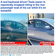 ASSHOLES-WHO-OWN-TESLAS-MUSK-1~0.png