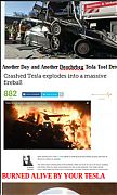 BURNED_ALIVE_BY_A_TESLA_CAR_ELON_MUSK_IS_A_CROOK_AND_SCAMMER.png