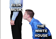 EDWARD_RING_KISSES_ELON_MUSKS_ASS~1.png