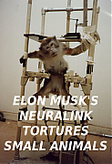 ELON_MUSK_EXPERIMENTS_ON_LIVE_ANIMALS_Elon_Musk_Corruption_And_Crappy_Engineering_Make_Tesla_Cars_So_Unsafe_-MUSK.png