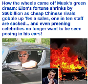 ELON_MUSK_FAILS_ALL_OVER_THE_WORLD~1.png