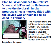 ELON_MUSK_KILLS_ANIMALS_CCC28129.png