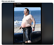 FAT_ELON_MUSK~0.png