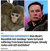 MUSK-TORTURES-ANIMALS-777-1~0.png