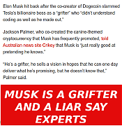 MUSK_IS_A_DAMN_GRIFTER~0.png