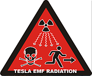 TESLA_SPERM_REDUCTION_EMF_RADIATION_Elon_Musk_Corruption_And_Crappy_Engineering_Make_Tesla_Cars_So_Unsafe_.png