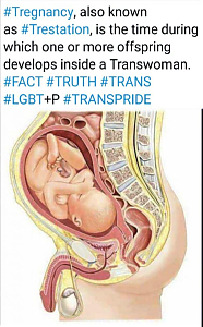 ANAL-TRANS-BIRTH~0.jpg