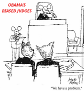 BIASED_JUDGES~0.png