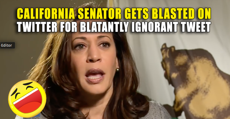 KAMALA HARRIS POLITICAL WHORE FOR SILICON VALLEY  Silicon Valley Tech Oligarchs And Their Operatives ARE The Deep State
Keywords: Rare Earth Mines Of Afghanistan, New America Foundation Corruption, Obama, Obama Campaign Finance, Obama FEC violations, Palo Alto Mafia, Paypal Mafia, Pelosi Corruption, Political bribes, Political Insider,  Eric Schmidts Sex Penthouse, SEC Investigation