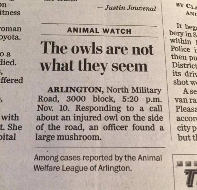 THE OWLS ARE NOT WHAT THEY SEEM THE SILICON VALLEY MAFIA
Keywords: Rare Earth Mines Of Afghanistan, New America Foundation Corruption, Obama, Obama Campaign Finance, Obama FEC violations, Palo Alto Mafia, Paypal Mafia, Pelosi Corruption, Political bribes, Political Insider,  Eric Schmidts Sex Penthouse, SEC Investigation